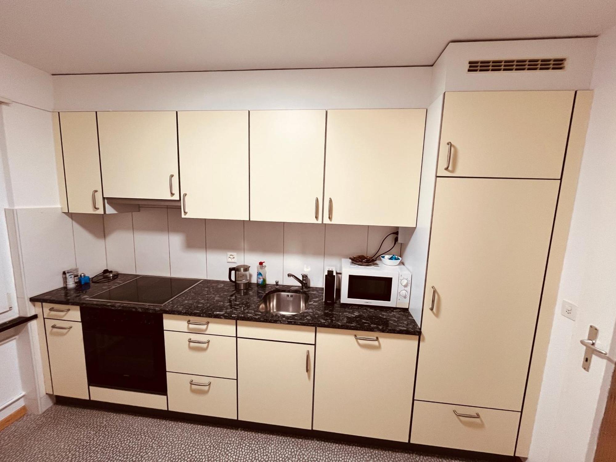 3-Room Apartment For Business Travelers & Families, Free Wifi & Tv With 70 Countries, Dazn, Sky, Netflix & Disney Wynau Eksteriør bilde